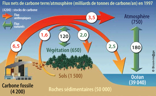 Image page Le CO2 en cause