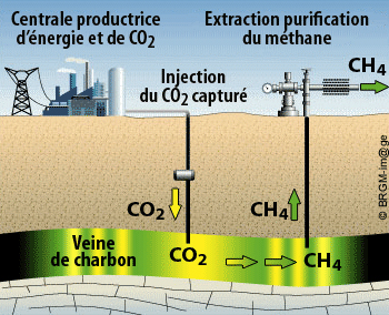 Image page Coal seams