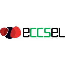 ECCSELERATE webinar - Characterisation of a CO2 geological storage site- 25th February
