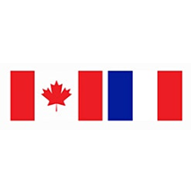 Webinar  : France-Canada Carbon Capture, Utilisation & Storage (CCUS) 