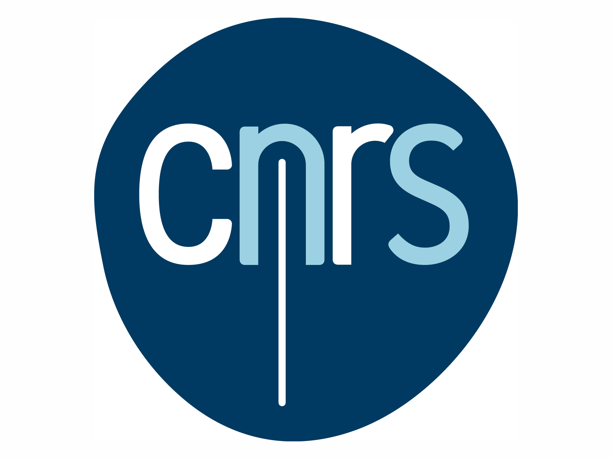 Logo CNRS 